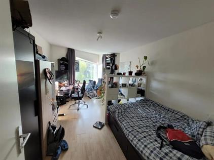 Kamer te huur 520 euro Balthasar van der Polweg, Delft