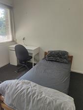 Room for rent 690 euro Parelvissersstraat, Apeldoorn