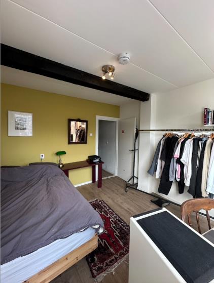 Room for rent 600 euro Rapenburg, Leiden
