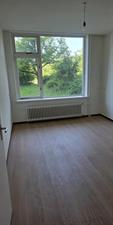 Apartment for rent 650 euro Bronbeeklaan, Arnhem