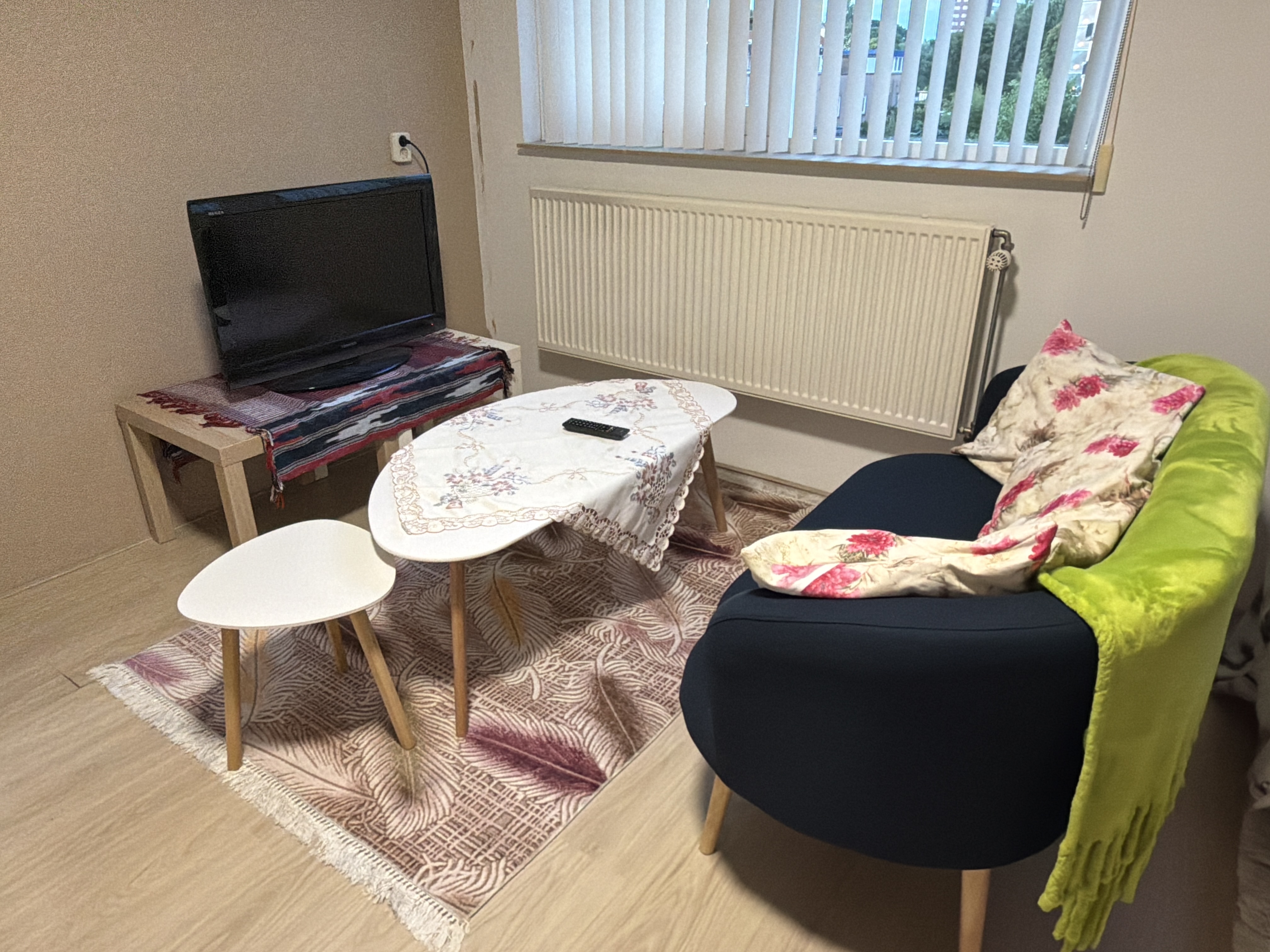 apartments for rent on Pionstraat