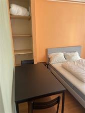 Room for rent 600 euro Wijnbesstraat, Nijmegen