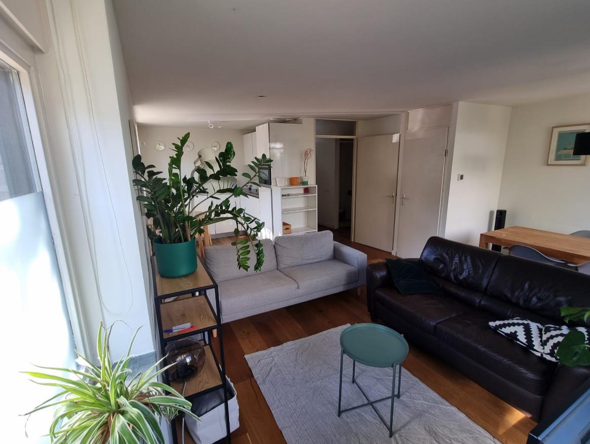 vrije-sector-woningen te huur op Berkstraat