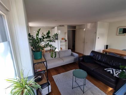 Apartment for rent 2150 euro Berkstraat, Utrecht
