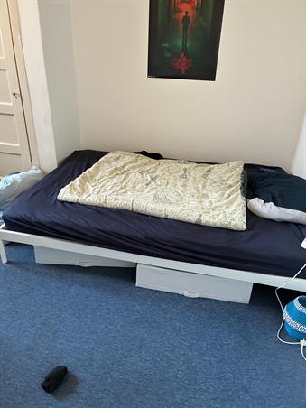 Kamer in Nijmegen, Eerste Oude Heselaan op Kamernet.nl: Nette, rustige en serieuze student gezocht 