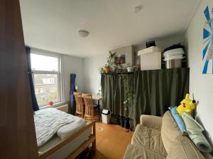 Kamer te huur 355 euro Prins Mauritsstraat, Delft