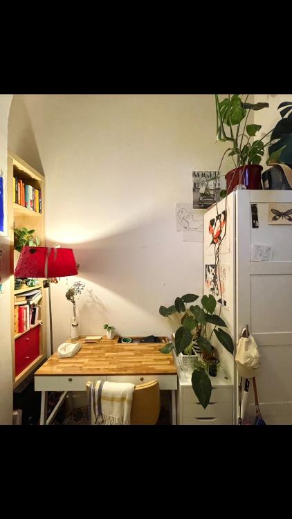 Room for rent 750 euro Van Middellandtstraat, Amsterdam