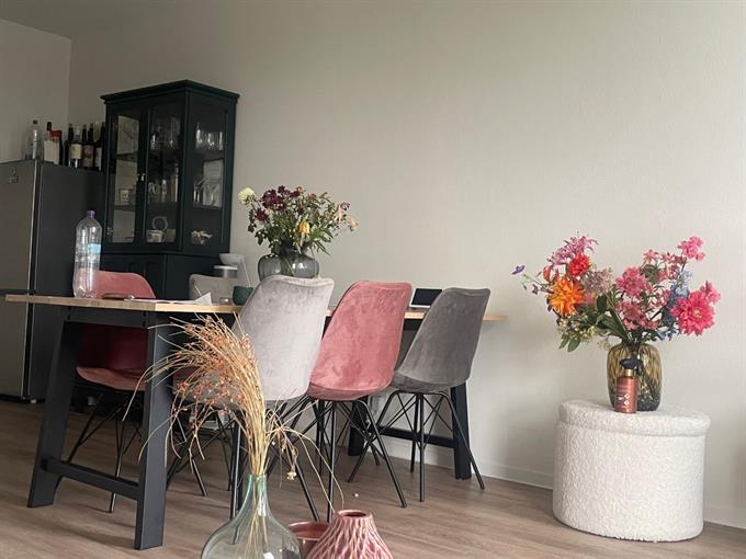 Kamer in Utrecht, Beneluxlaan op Kamernet.nl: Appartement onderhuur van mid juli tot september. 