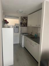 Room for rent 3500 euro Castor, Berkel en Rodenrijs