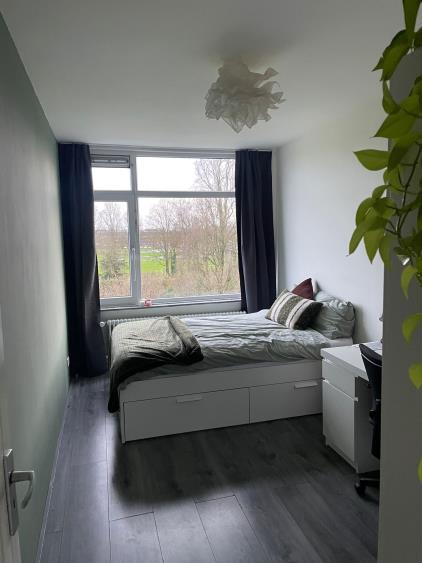 Kamer te huur 370 euro Haringvlietstraat, Deventer