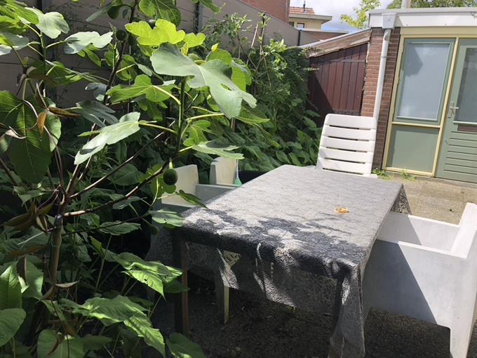 Zimmer bei Nieuwstraat In Tilburg