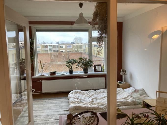 Kamer in Groningen, Nicolaas Beetsstraat op Kamernet.nl: Ruim apartement in de Wijert