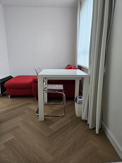 Room for rent 850 euro Ru Parestraat, Den Haag