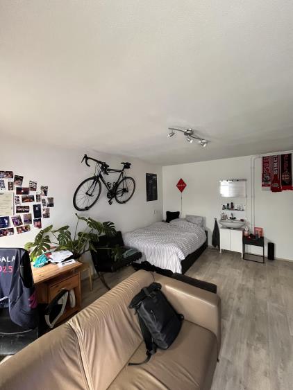 Kamer te huur 330 euro Herdenkingsplein, Maastricht