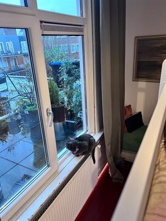 Zimmer bei Lutherse Burgwal In Den Haag