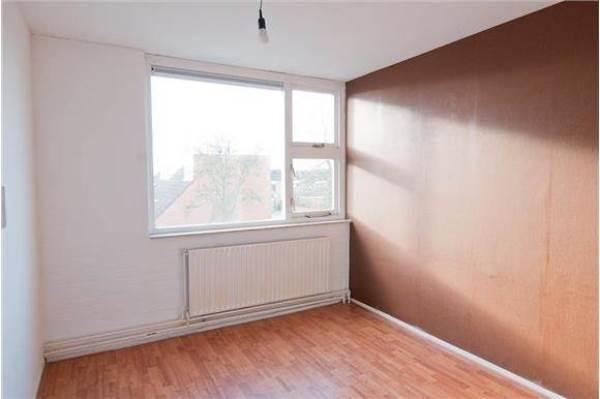 particuliere-woningen te huur op Leidekkerstraat