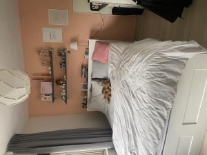 Room for rent 375 euro Marsstraat, Groningen