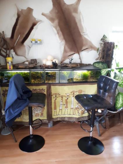 Room for rent 475 euro Adriaan Roggestraat, Zaandam