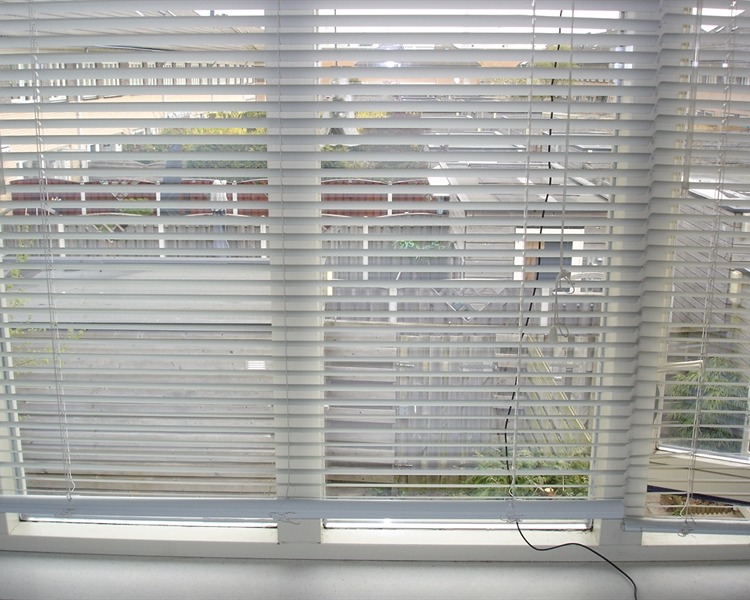 Kamer te huur in Lisserbroek – Forsythiastraat – foto 2