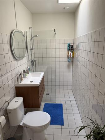 Zimmer bei Burghardt van den Berghstraat In Nijmegen
