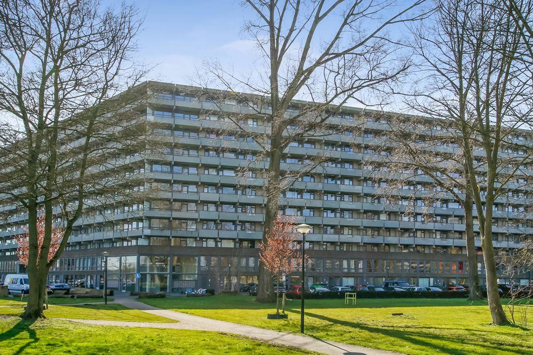 huurwoningen te huur op Kleiburg