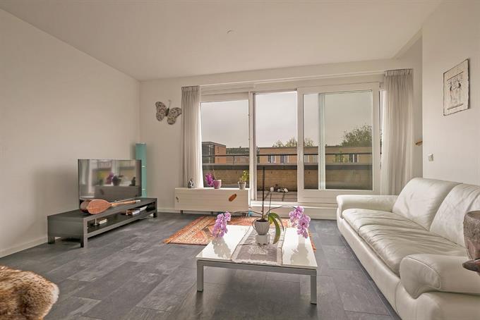 Kamer in Rotterdam, Vignolahof op Kamernet.nl: Kamer te huur / Rotterdam EUR 934,- incl / Dec 1