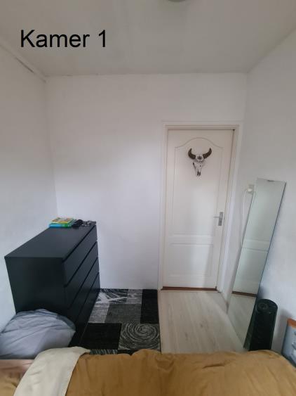 Room for rent 514 euro Delfgauwseweg, Delft