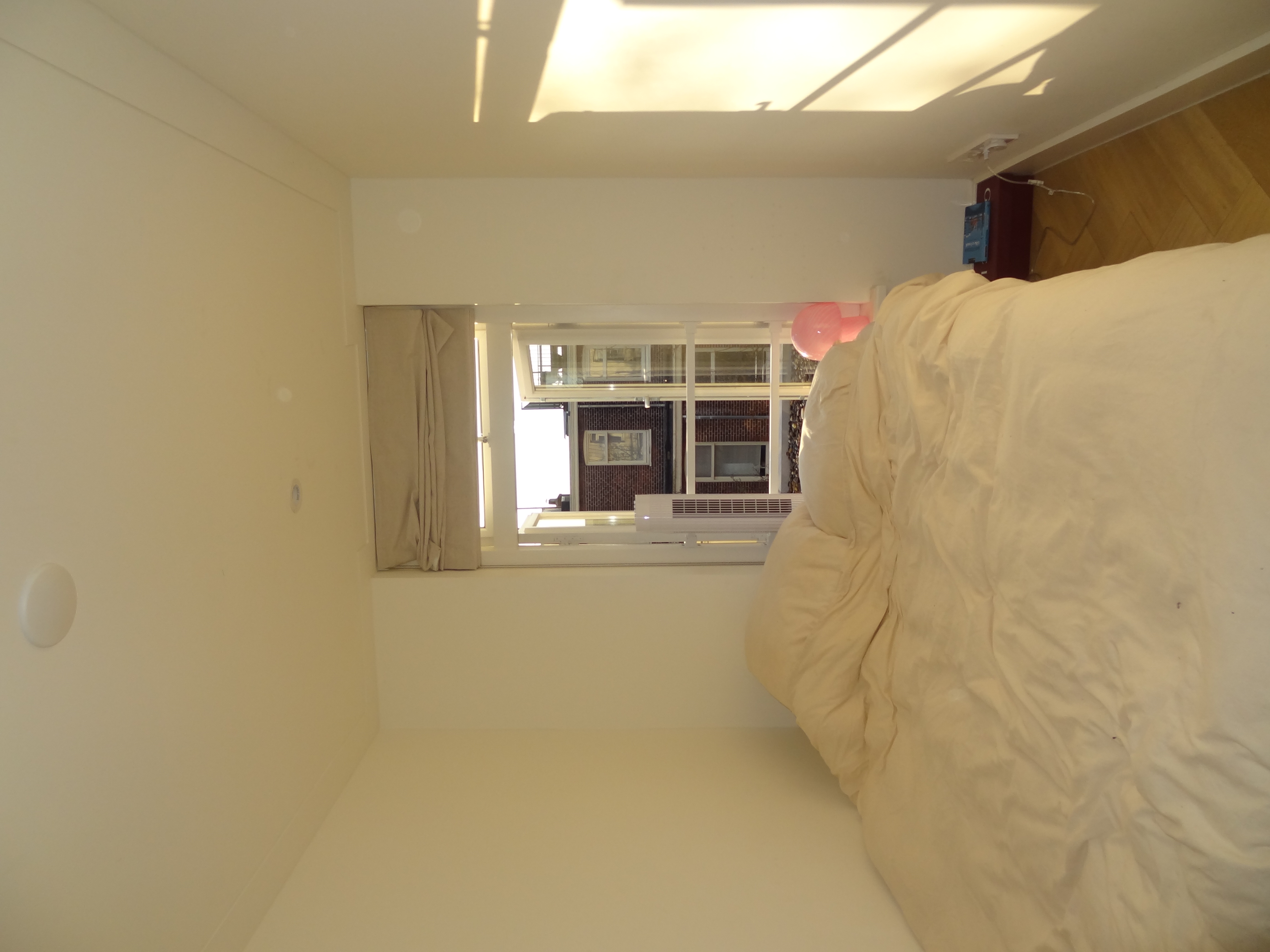 Elisabeth Wolffstraat