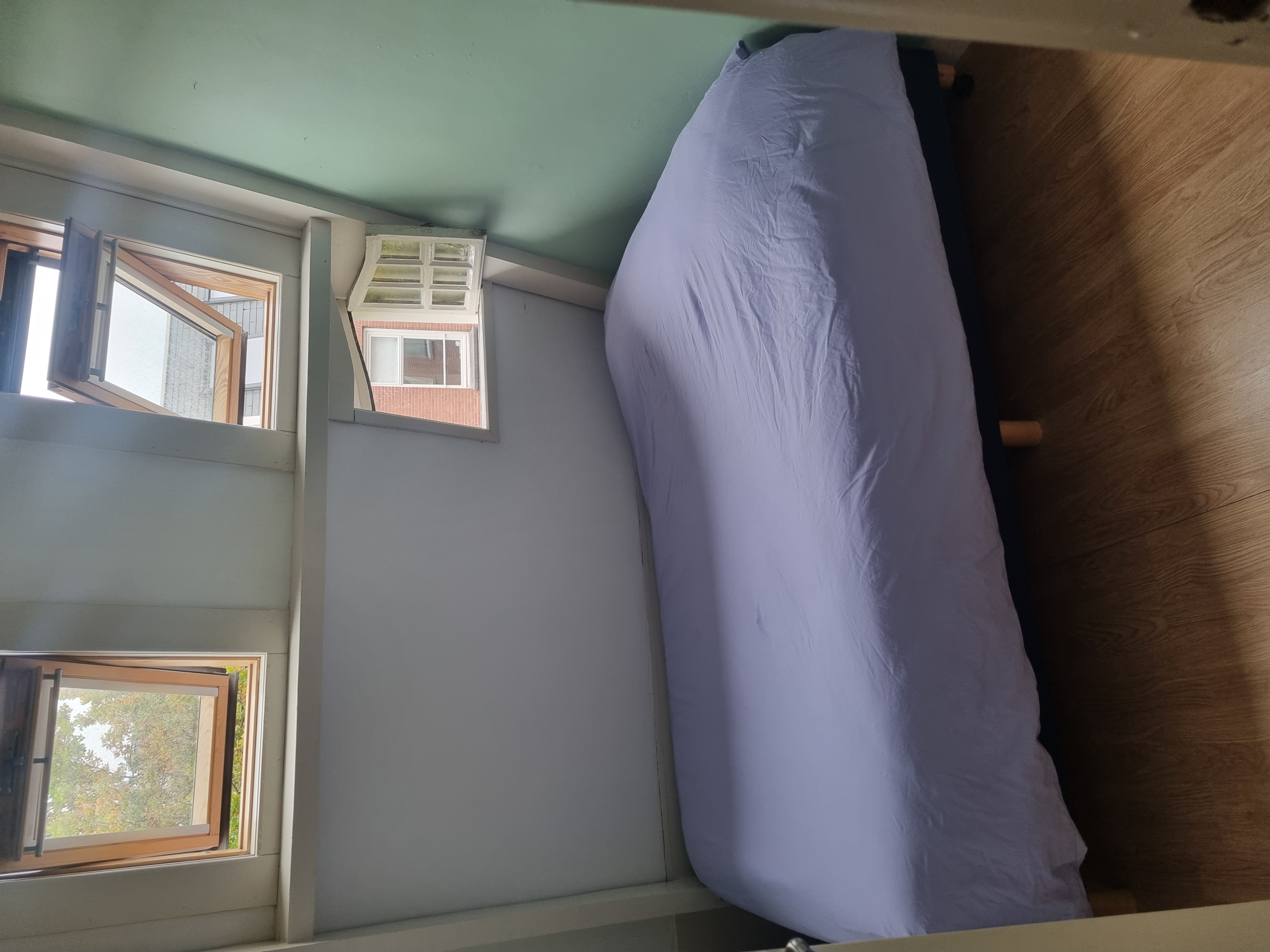 Zacharias Jansestraat