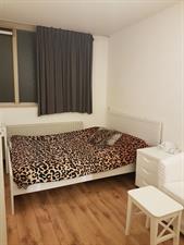 Room for rent 1050 euro Schapenstraat, Hilversum