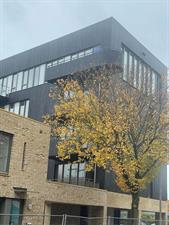 Room for rent 525 euro Galjoenstraat, Tilburg