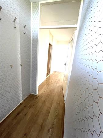 Zimmer bei Condorhorst In Leiden
