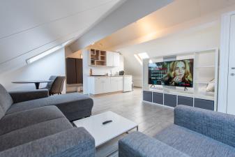 Studio for rent 1000 euro Tongerseweg, Maastricht