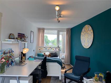 Room for rent 375 euro Wilhelmina Druckerstraat, Apeldoorn