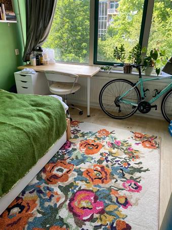 Zimmer bei Jacoba van Beierenlaan In Delft