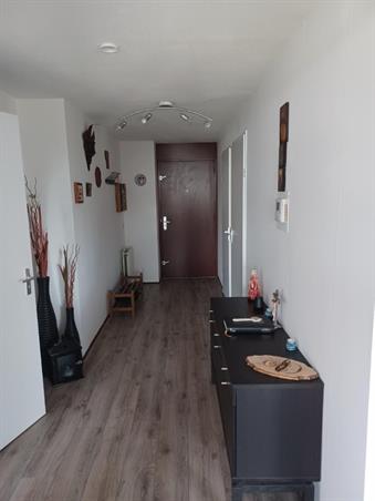 Zimmer bei Fijnjekade In Den Haag