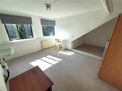 Room for rent 850 euro Leeuweriklaan, IJmuiden