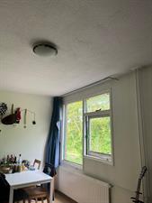 Room for rent 350 euro Kremersmaten, Enschede