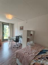 Room for rent 420 euro Calslaan, Enschede