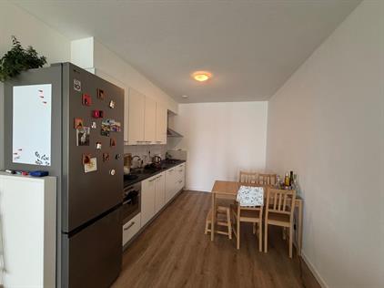 Kamer te huur 1000 euro IJsvogelpassage, Nijmegen