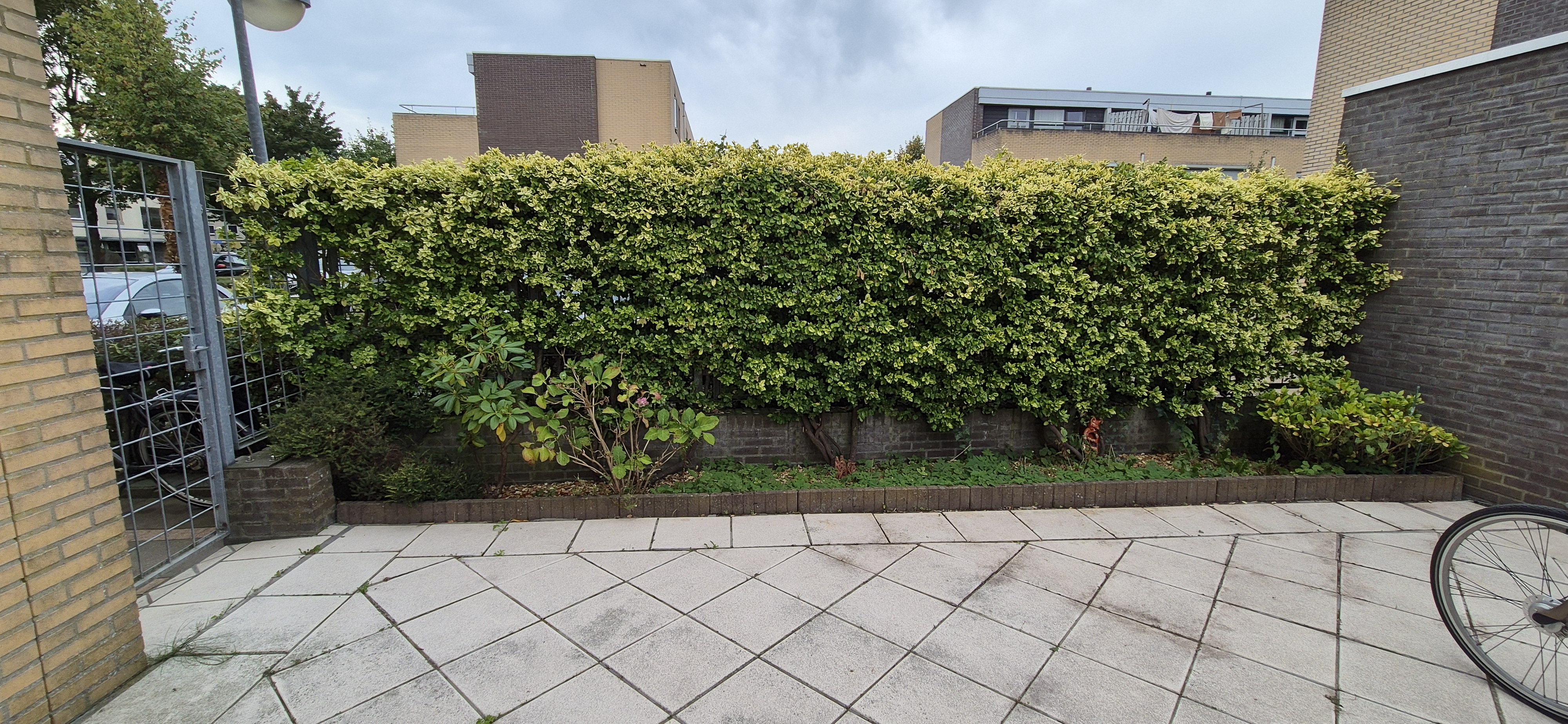 Studio aan Godfried Bomansstraat, Wageningen 8