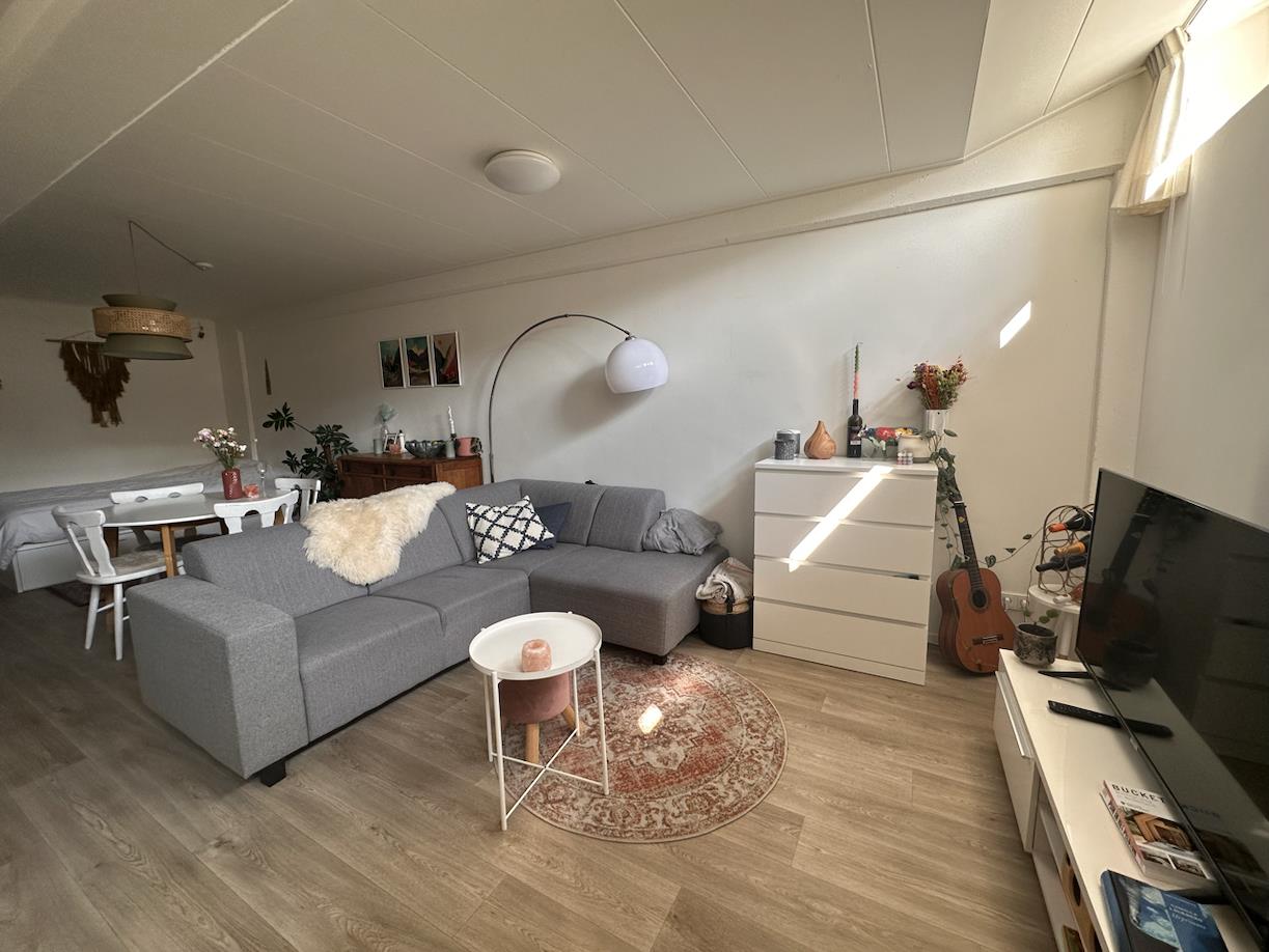 Heinsiusstraat