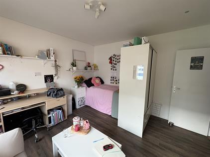 Room for rent 535 euro Hisveltplein, Arnhem