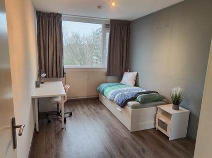 Kamer te huur 750 euro Roland Holstlaan, Delft