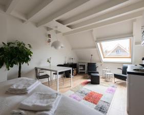 Room for rent 1500 euro Diamantpad, Delft