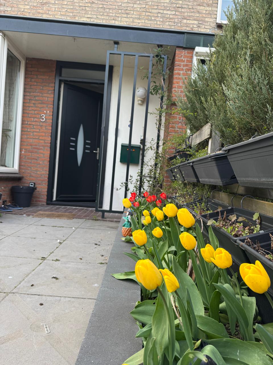 Kamer te huur in Hilversum – Gomarushof – foto 4