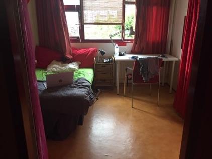 Room for rent 750 euro Knoopkruid, Diemen