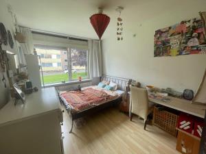 Kamer te huur 420 euro Professor Cornelissenstraat, Nijmegen