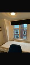Room for rent 374 euro Tuinbouwstraat, Groningen