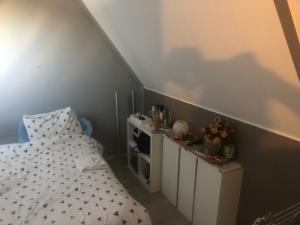 Room for rent 500 euro Bervoetsbos, Hoofddorp